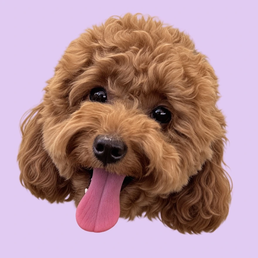Close-up portrait of Chupa with her head tilted, against a lilac background