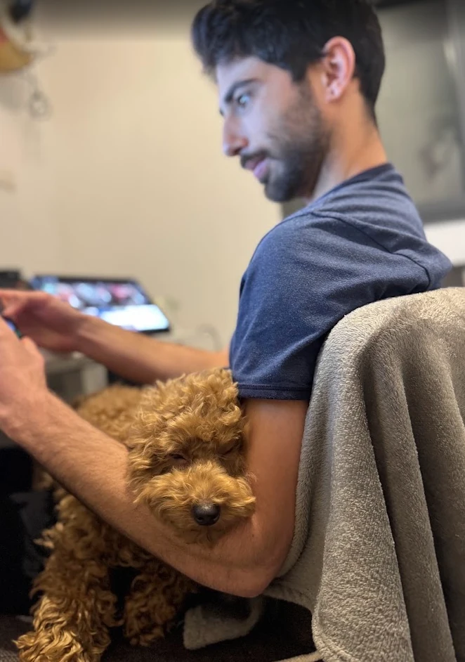 Chupa cuddled in someone's arms in an armchair at home